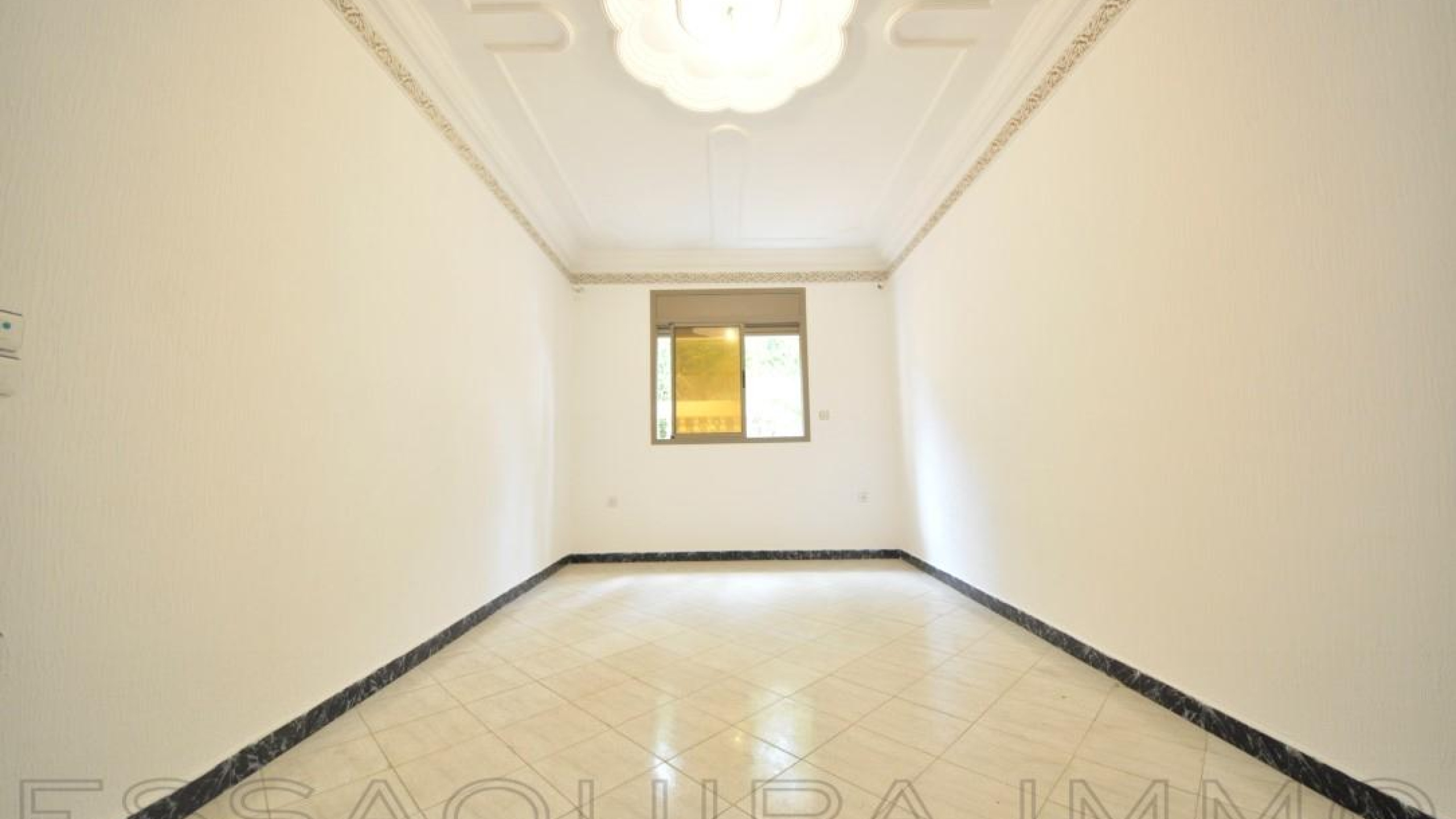 appartement avec loué