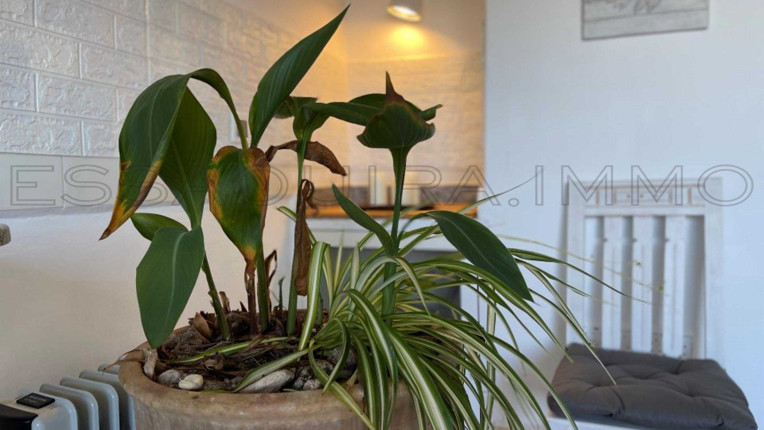 appartement référence 2235