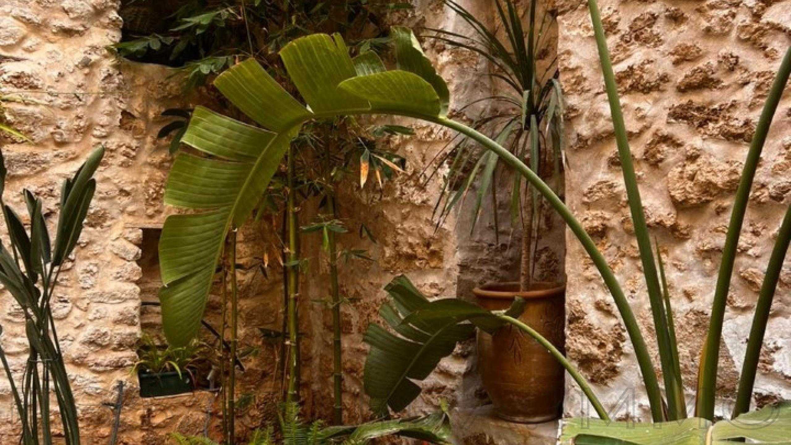 riad référence 2345