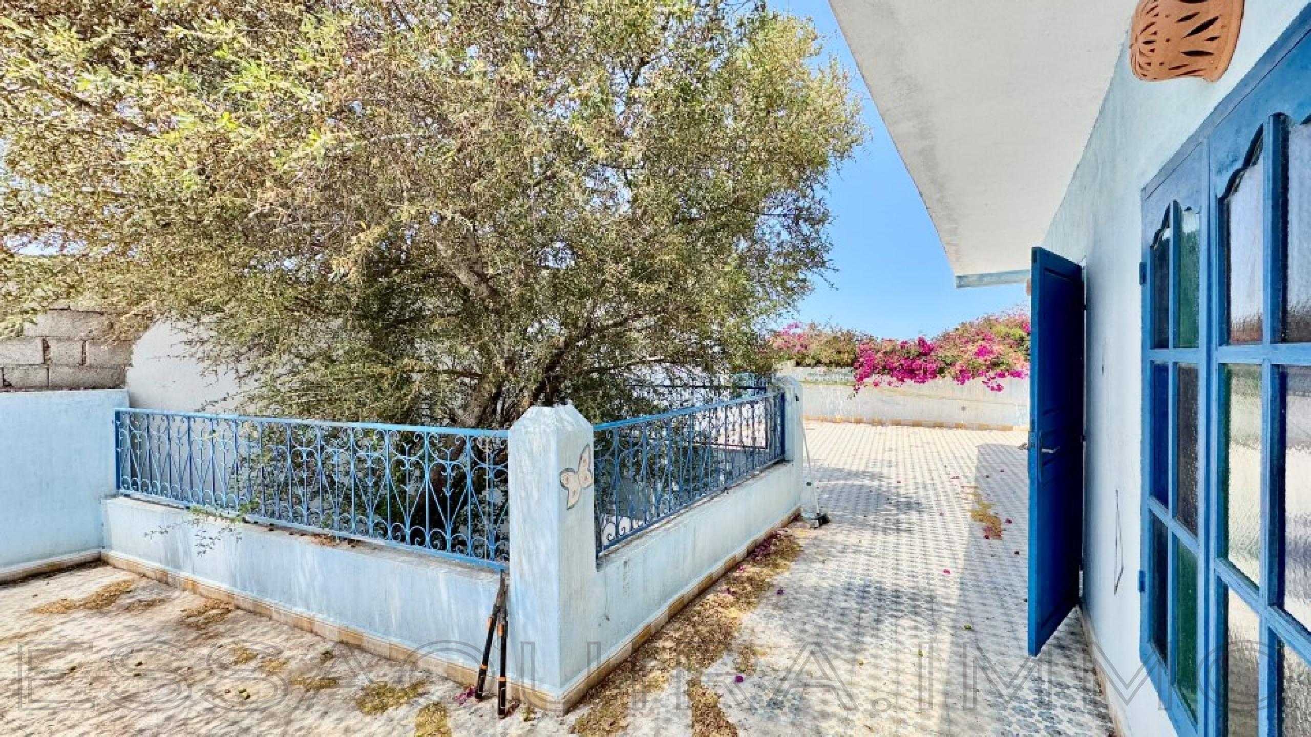 maison avec terrasse