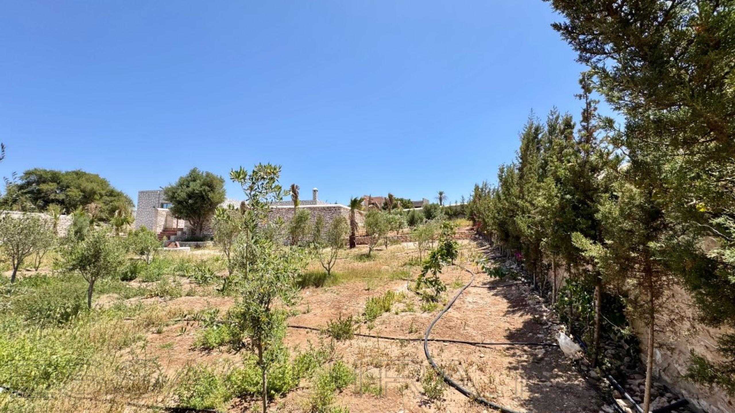 villa avec jardin