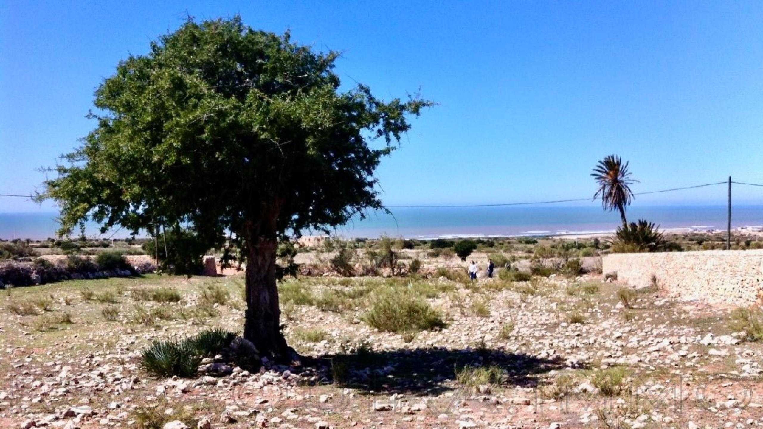 terrain en vente à essaouira