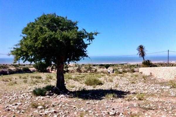 Terrain avec vue mer à Moulay Bouzerktoun