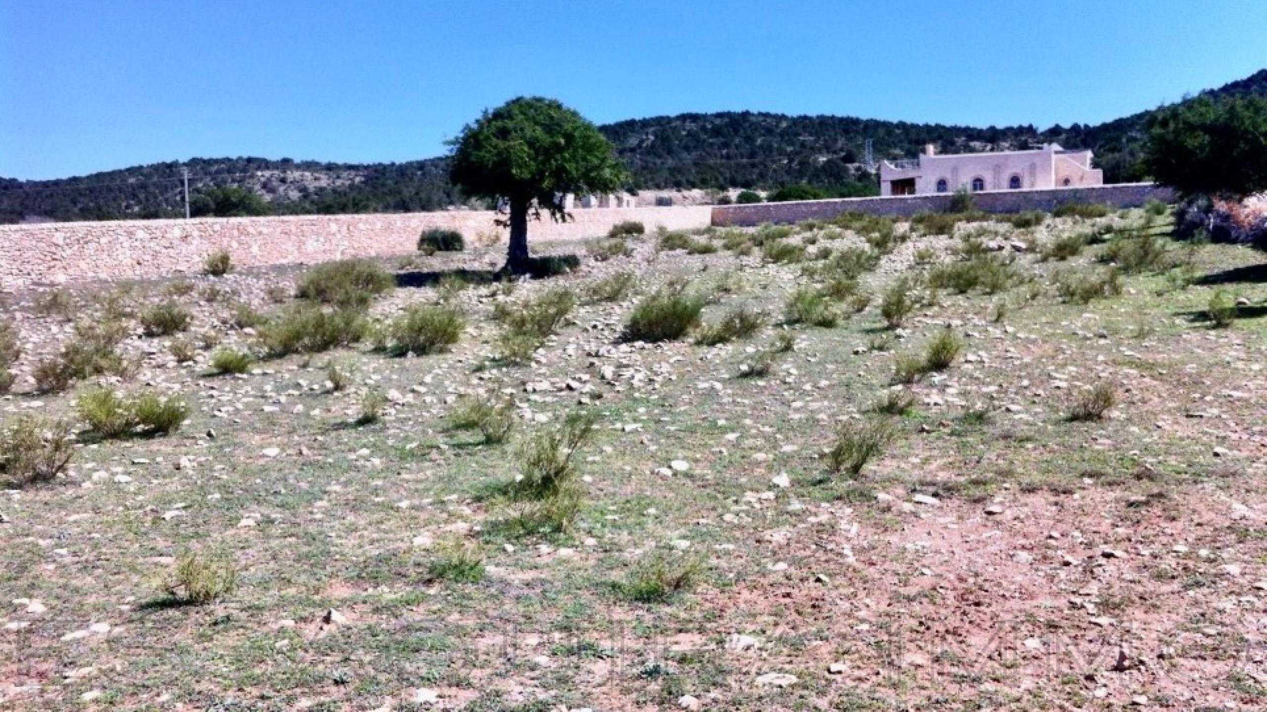 terrain de 0 m² sur un terrain de 2,982 m²