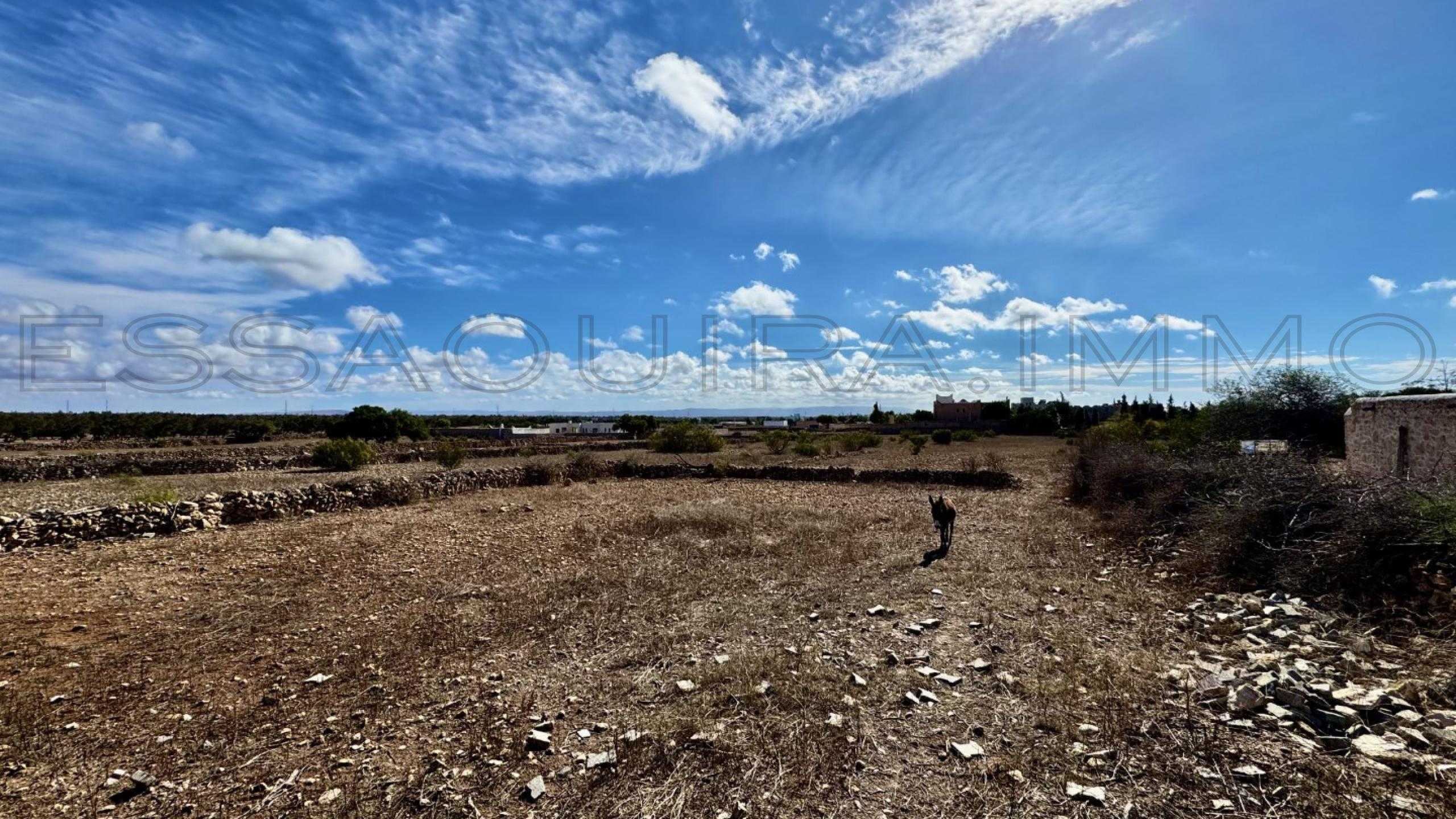 terrain en vente à essaouira