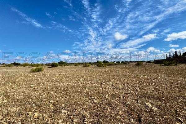 Terrain titré de 5.000 m² –En Zone urbaine 