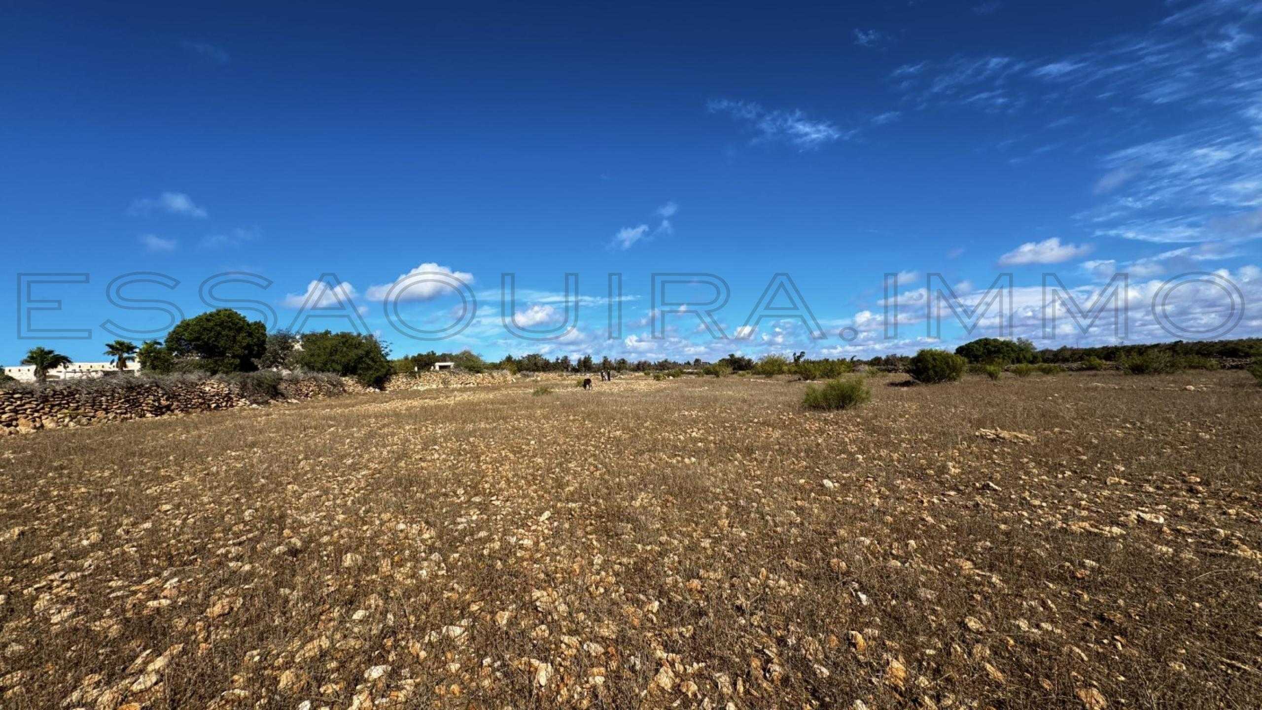 terrain référence 2475