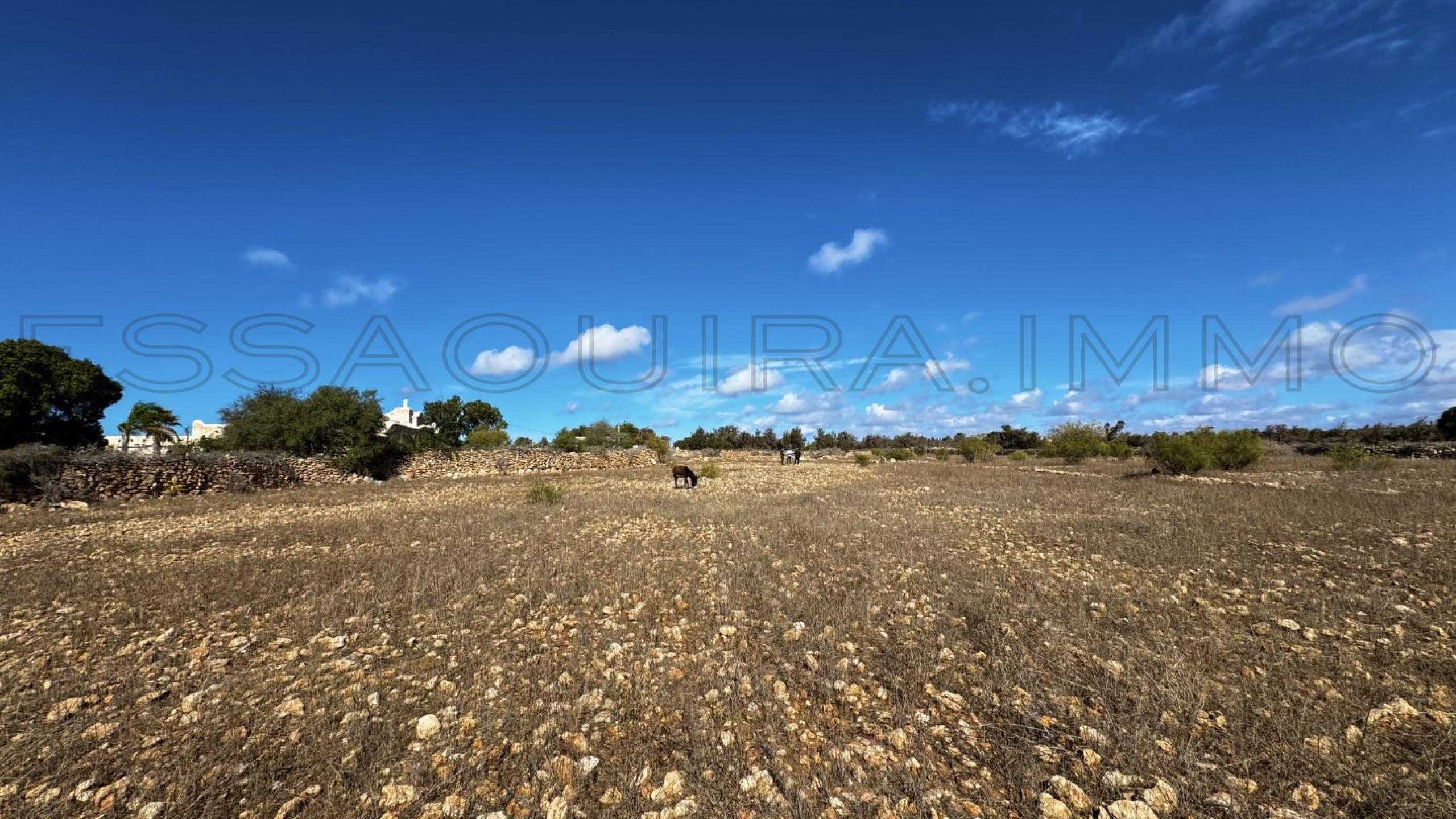 terrain en vente à essaouira