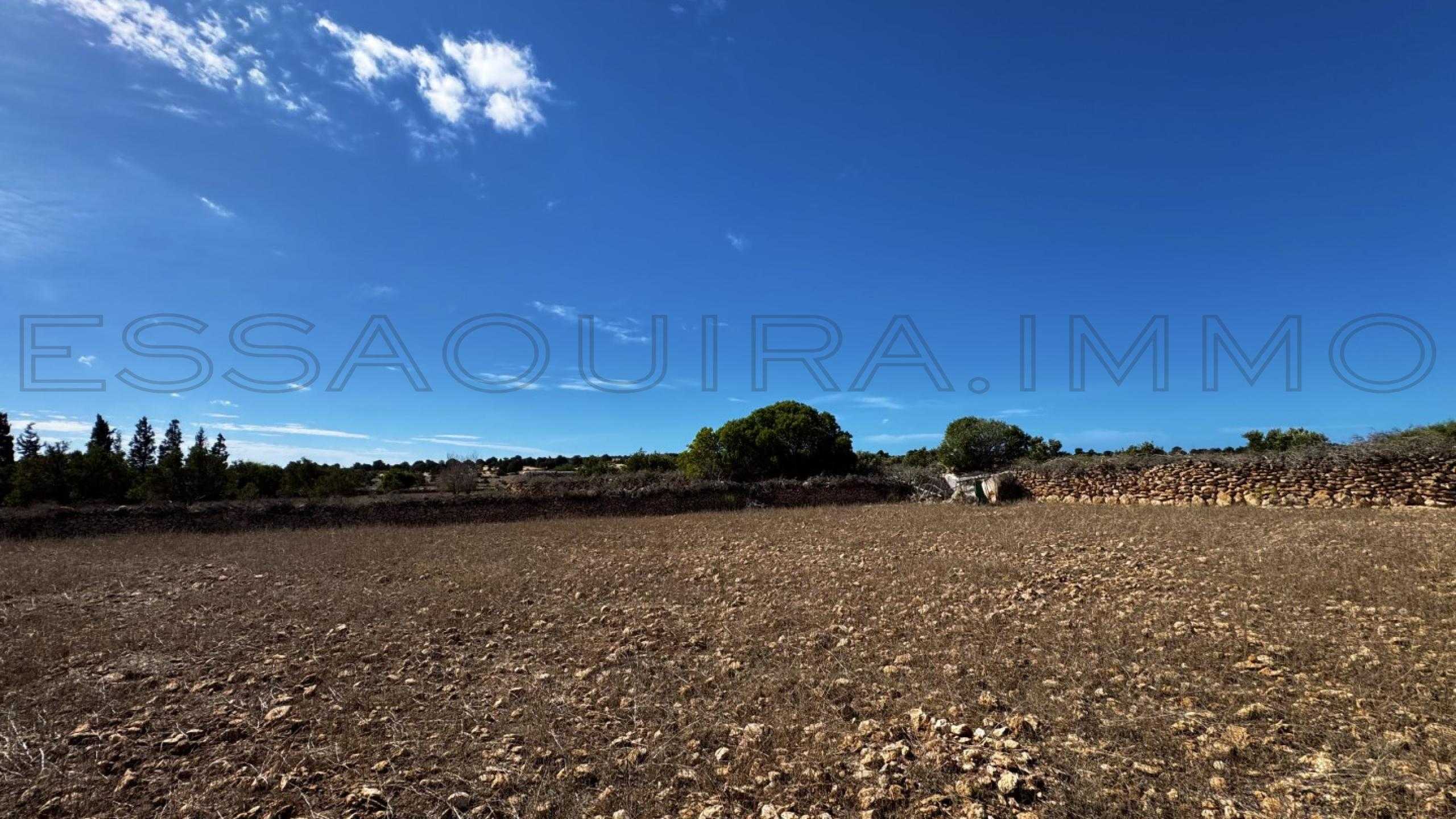 terrain référence 2475