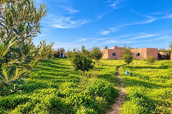 Maison Beldi avec terrain de 1.500 m² – À 4 km de Ghazoua