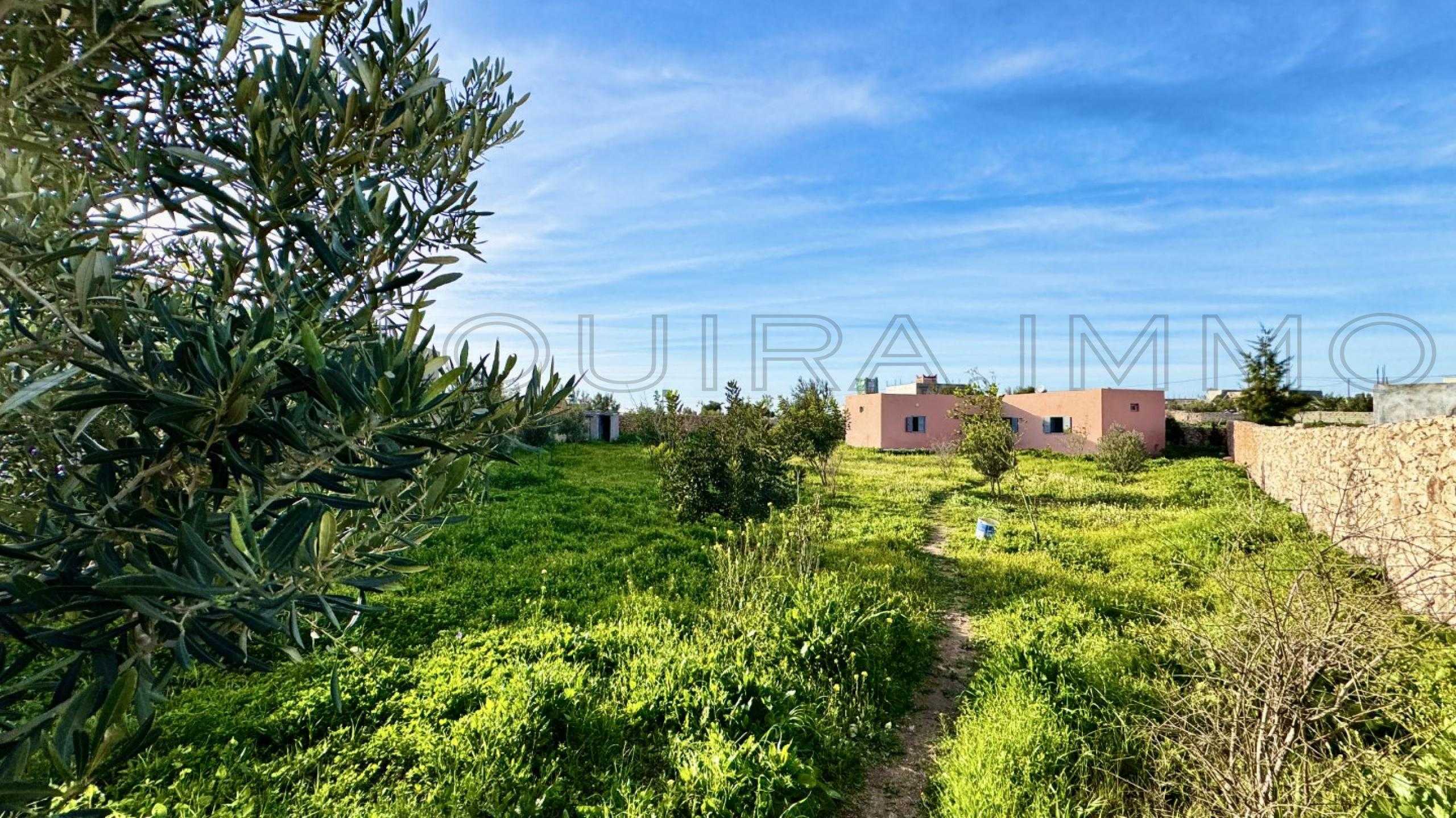 maison référence 2520