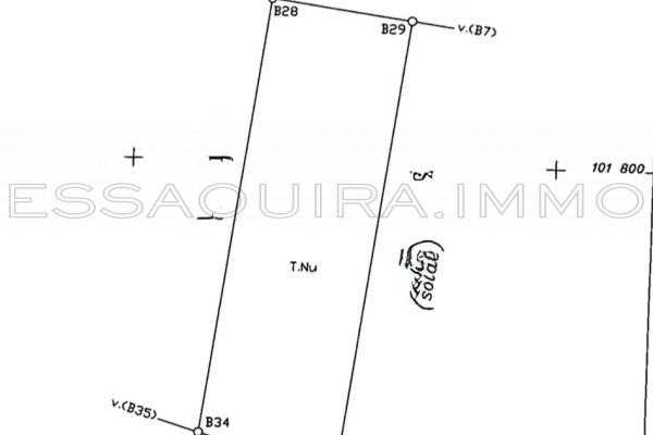 Terrain de 14 452 m² titré en zone urbaine – Ghazoua