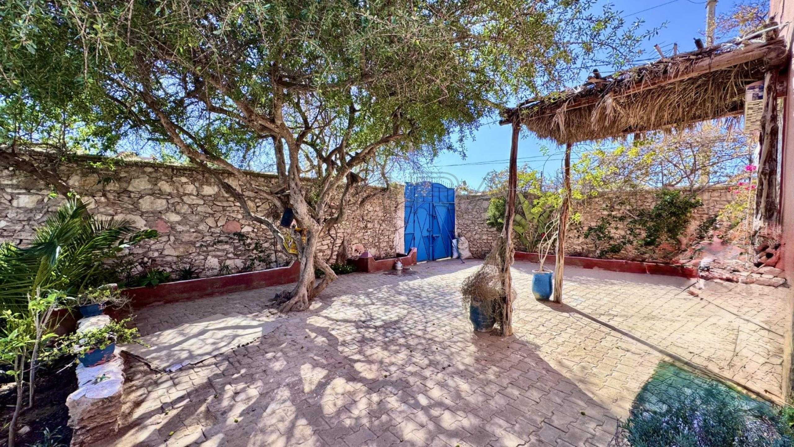 maison avec terrasse