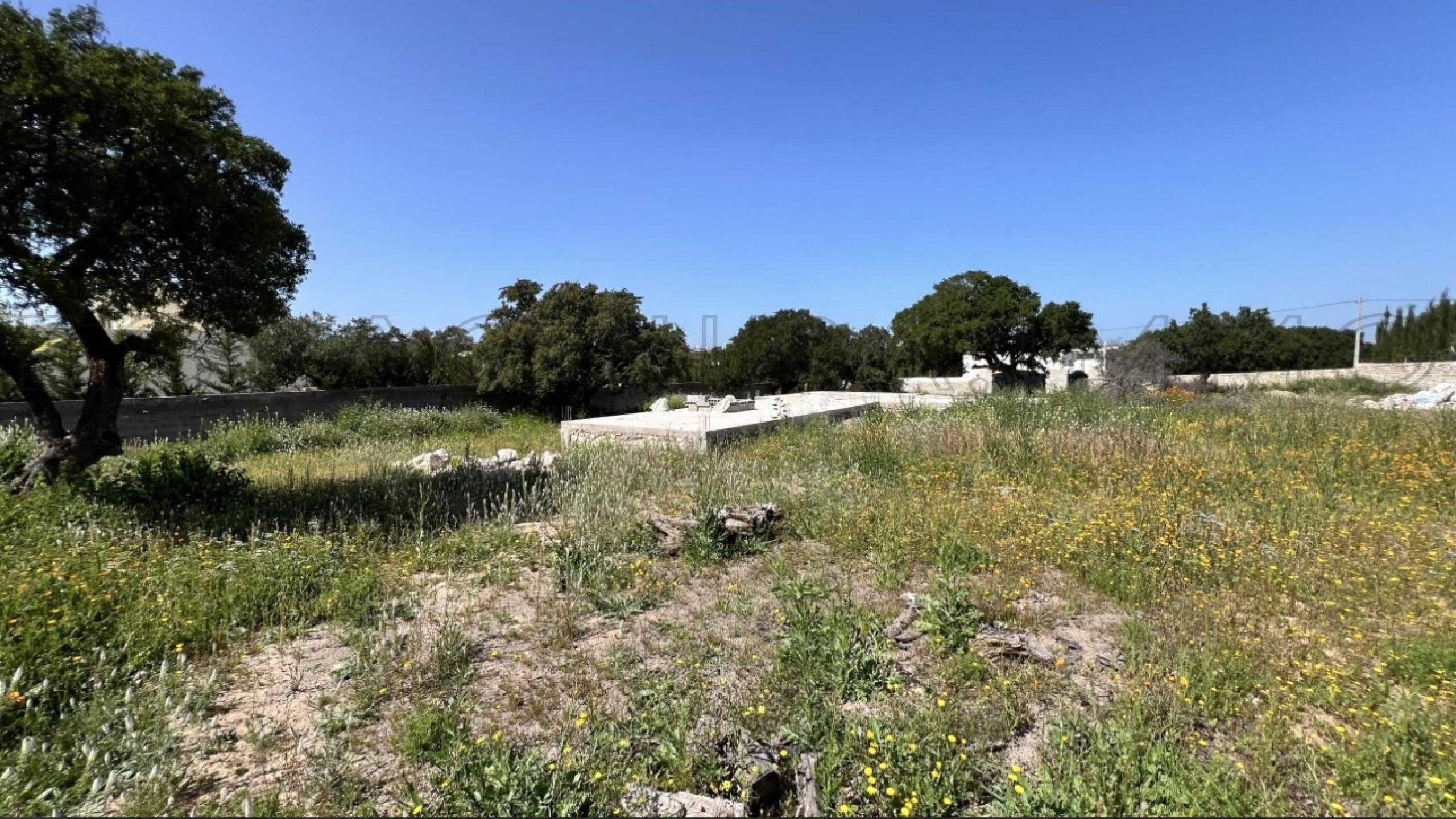 terrain référence 2552