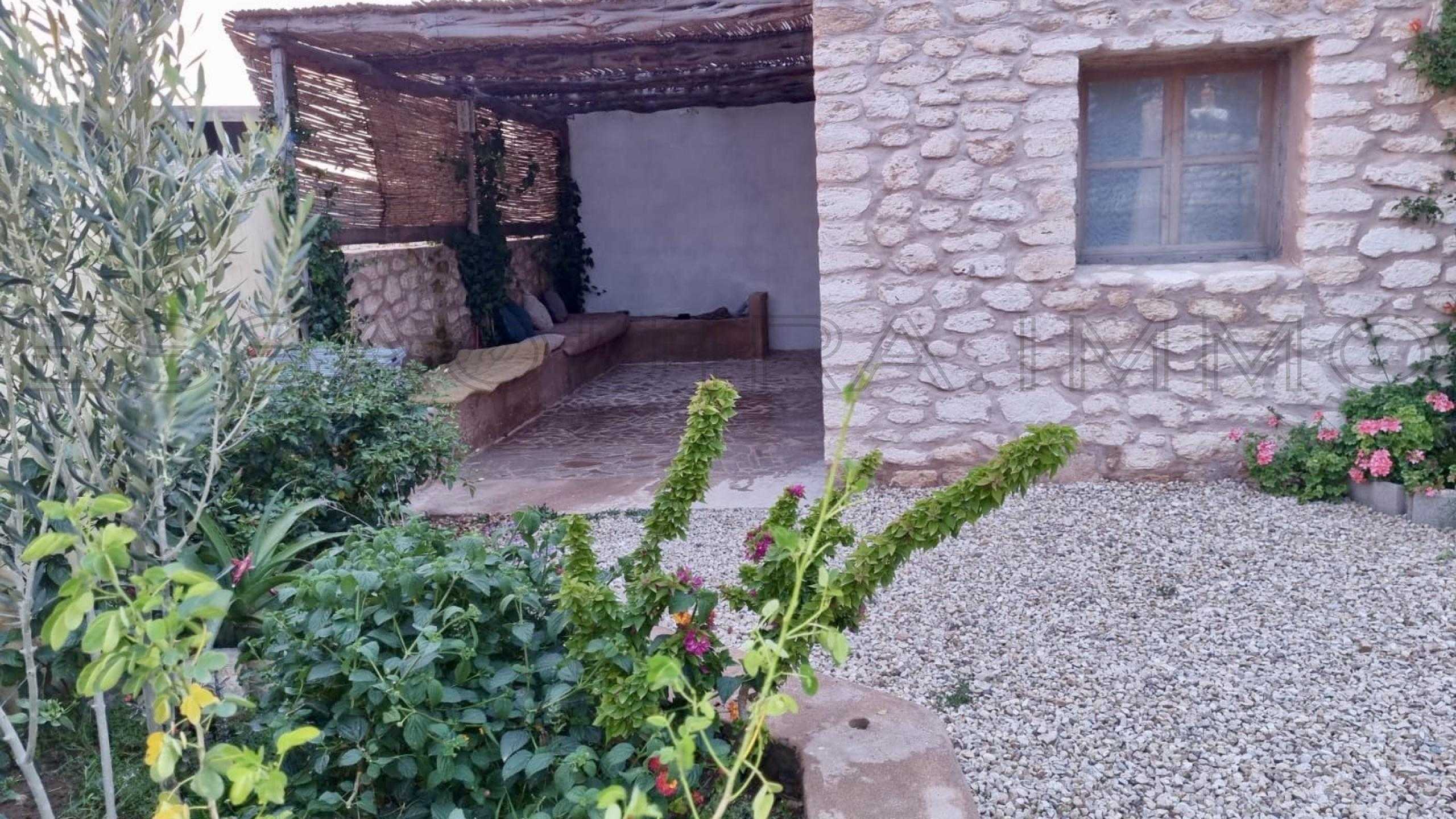 maison avec terrasse