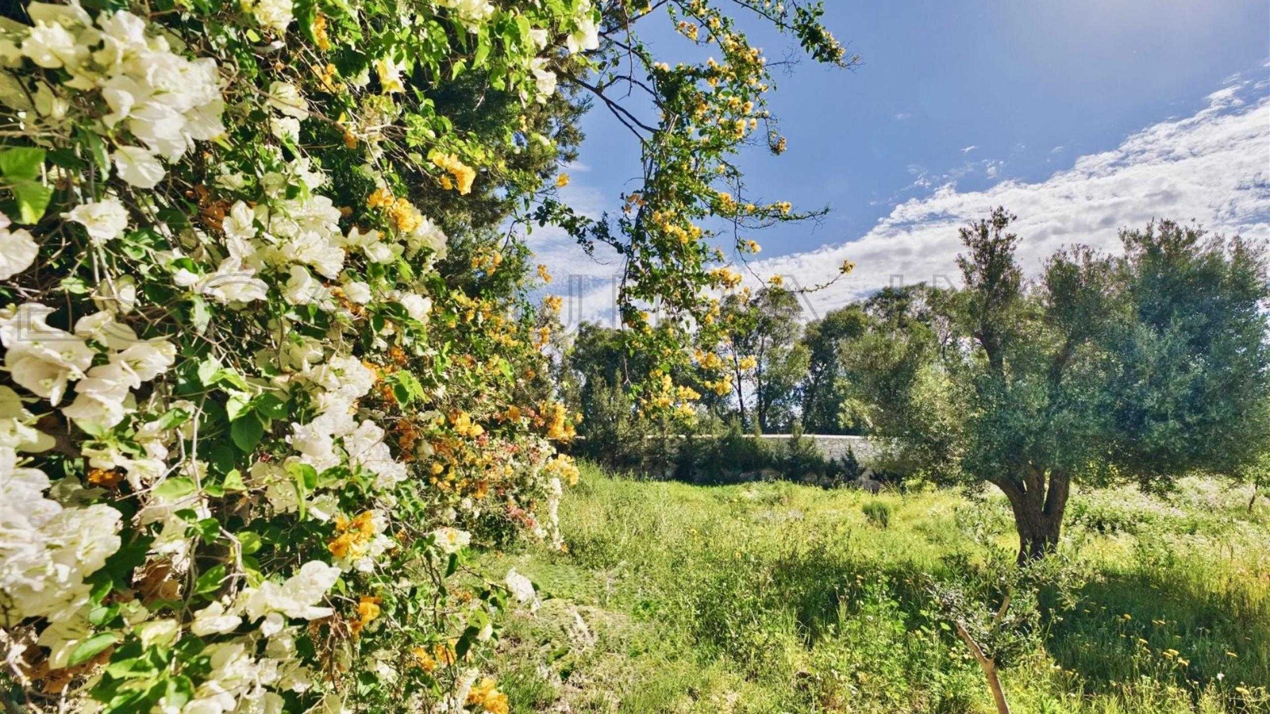 villa en vente à essaouira