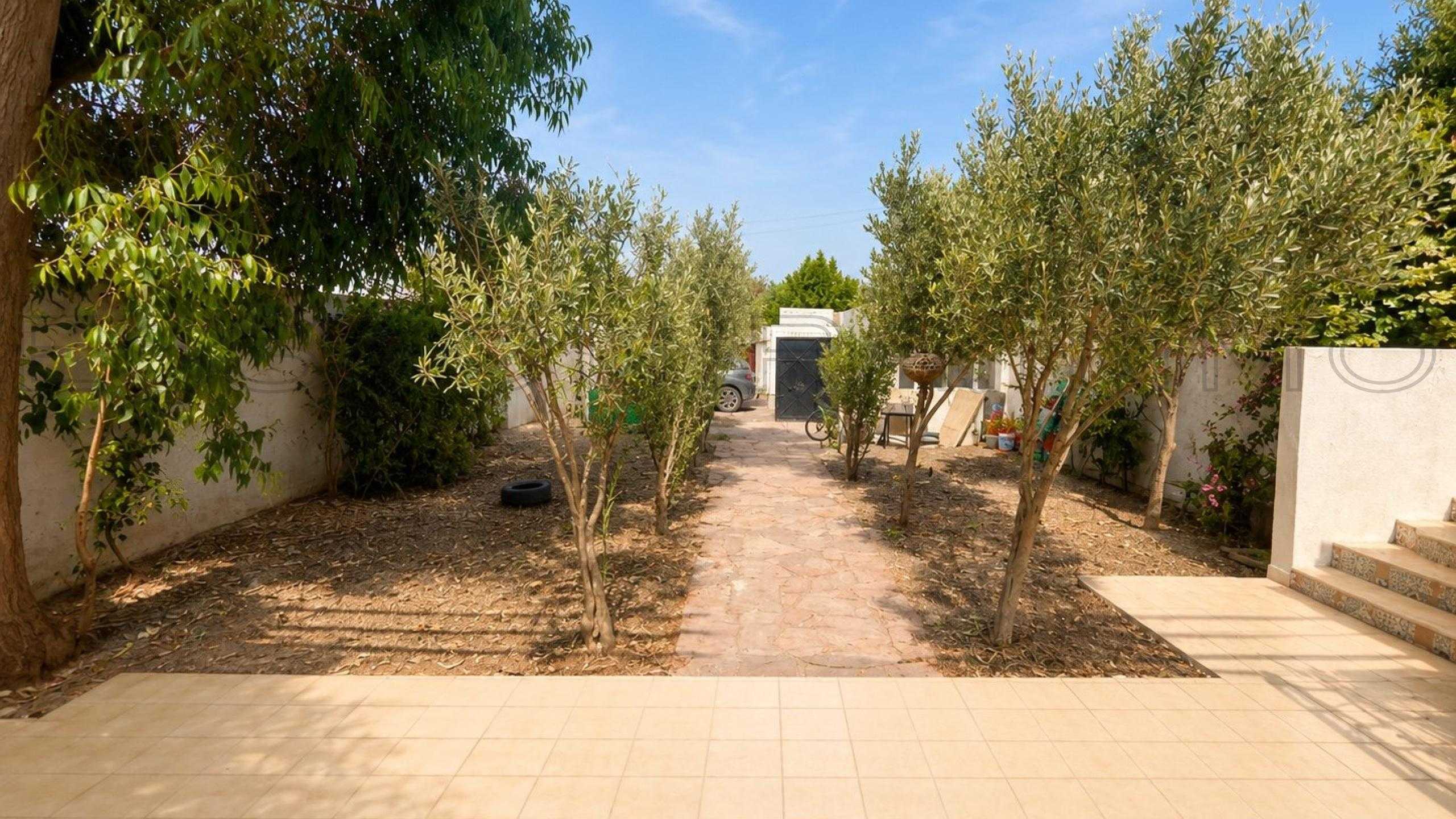 maison avec terrasse