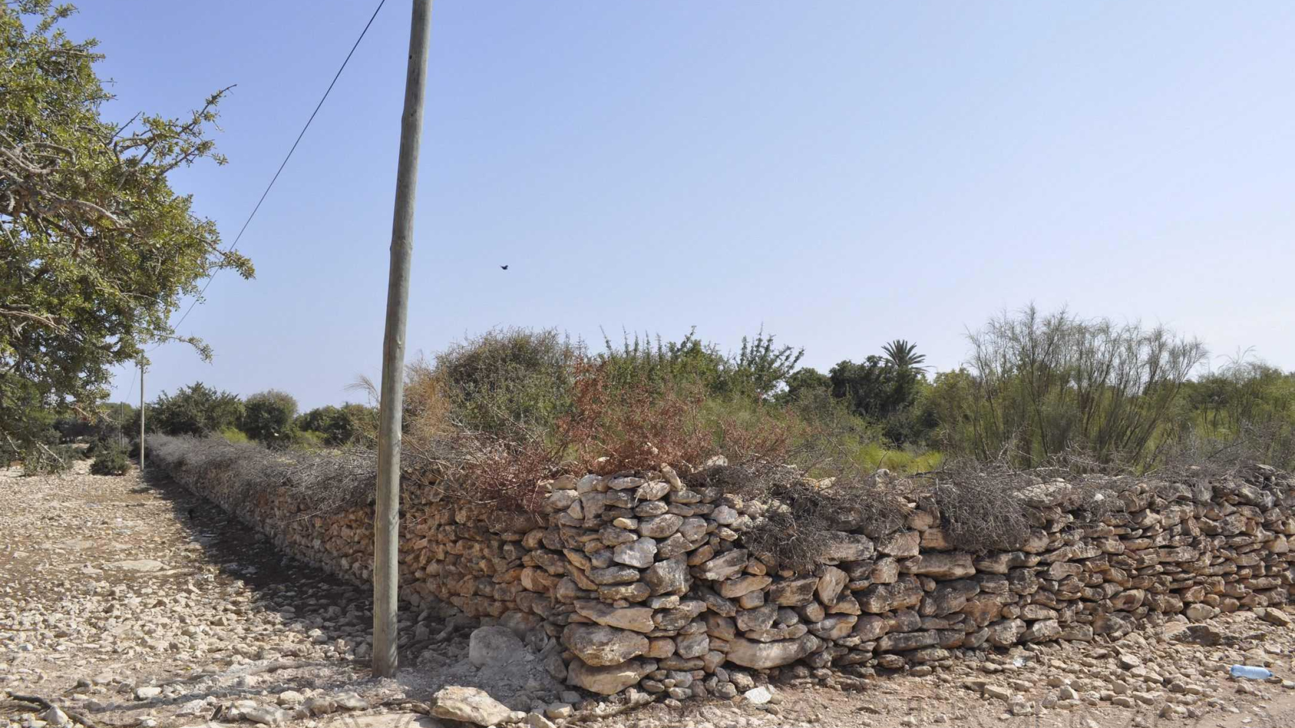terrain à 131 100€