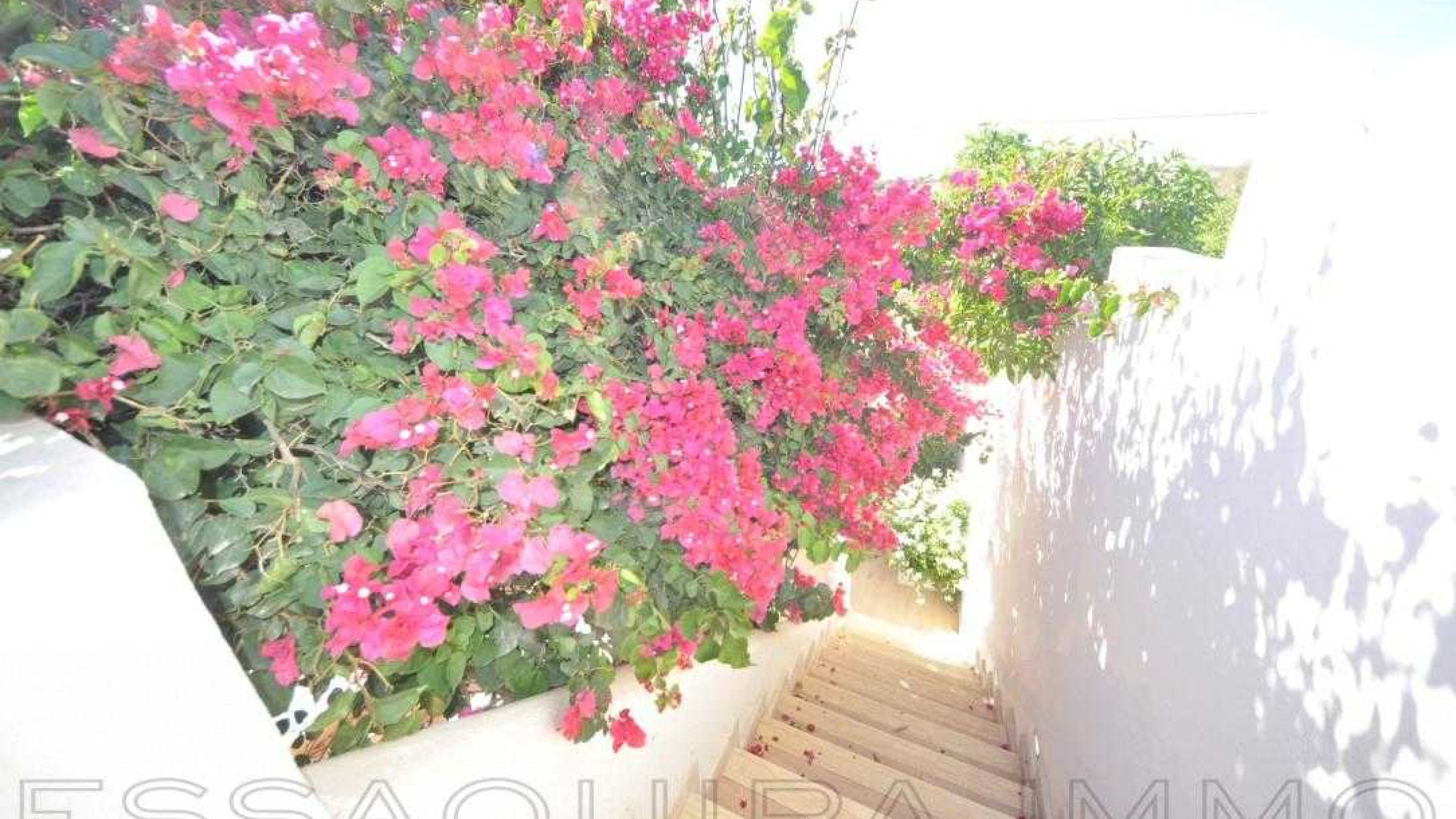 maison à 330€ /mois