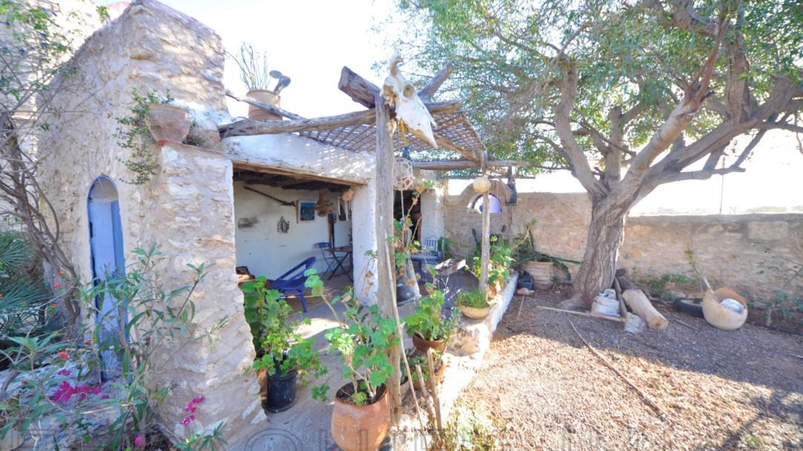 maison avec patio