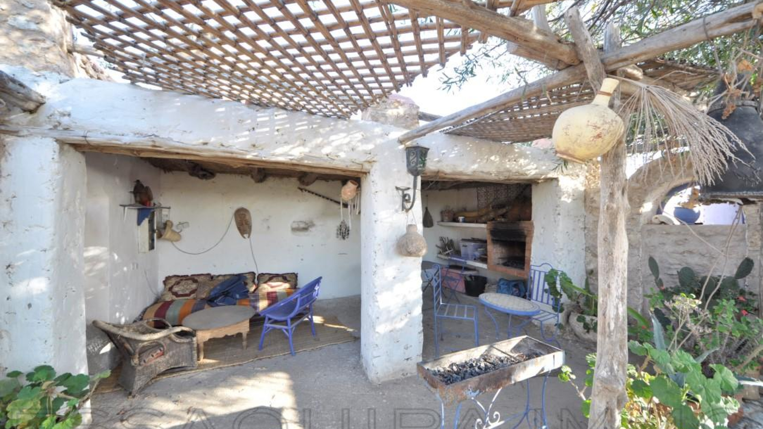 maison avec jardin