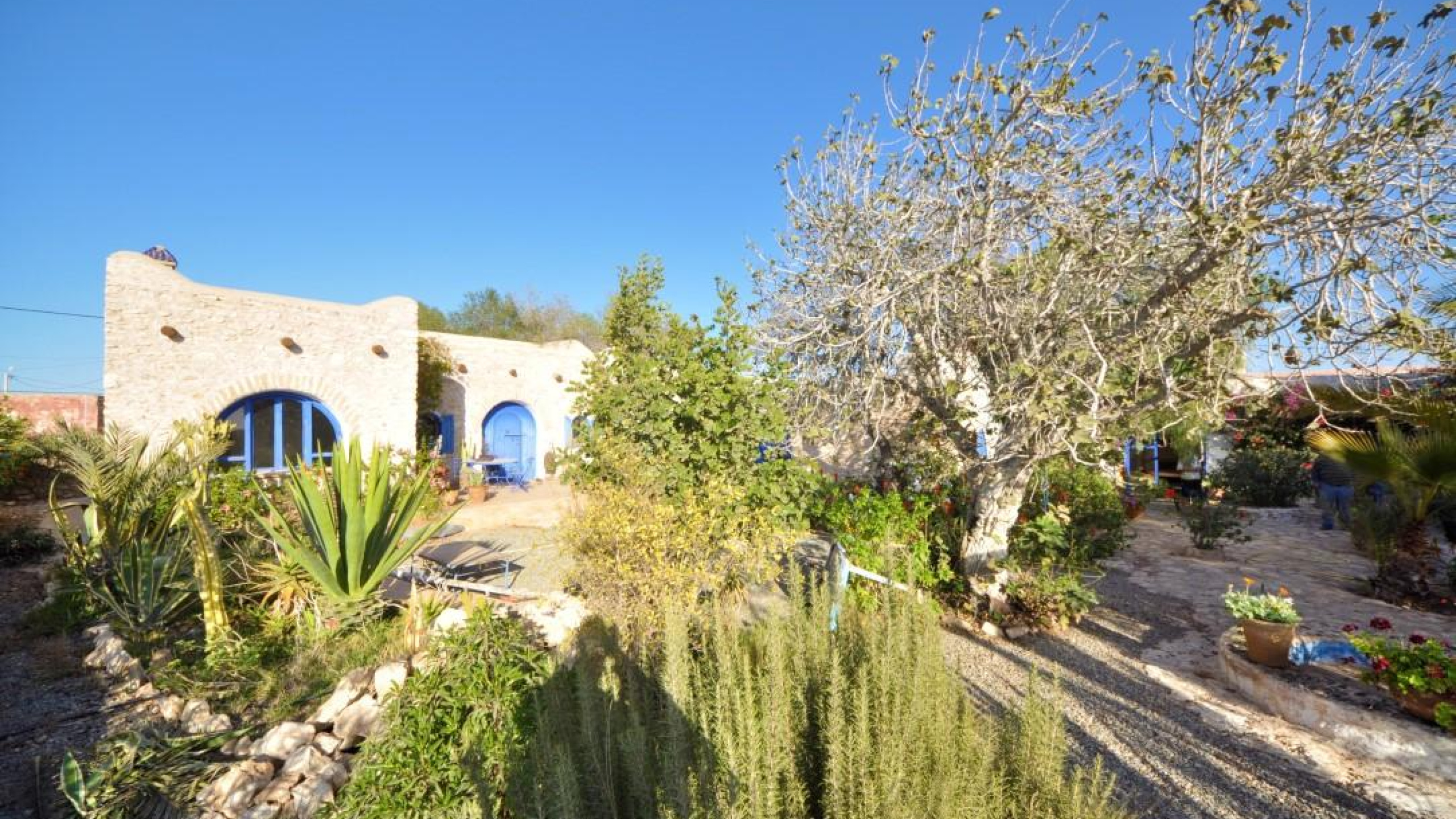 maison avec loué