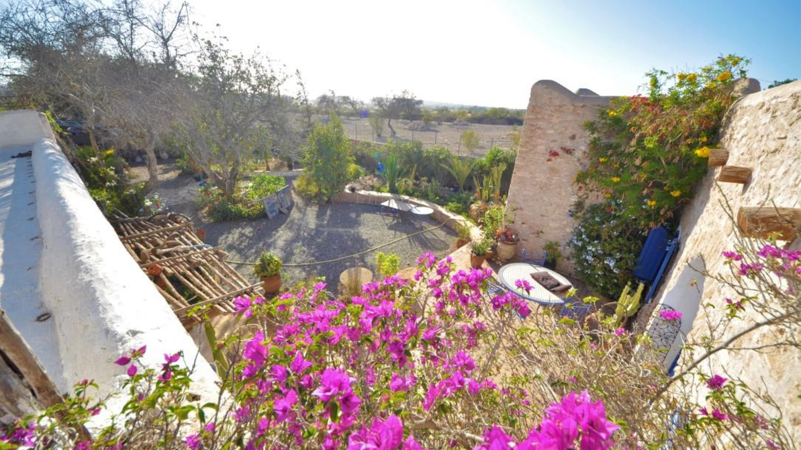 maison avec jardin