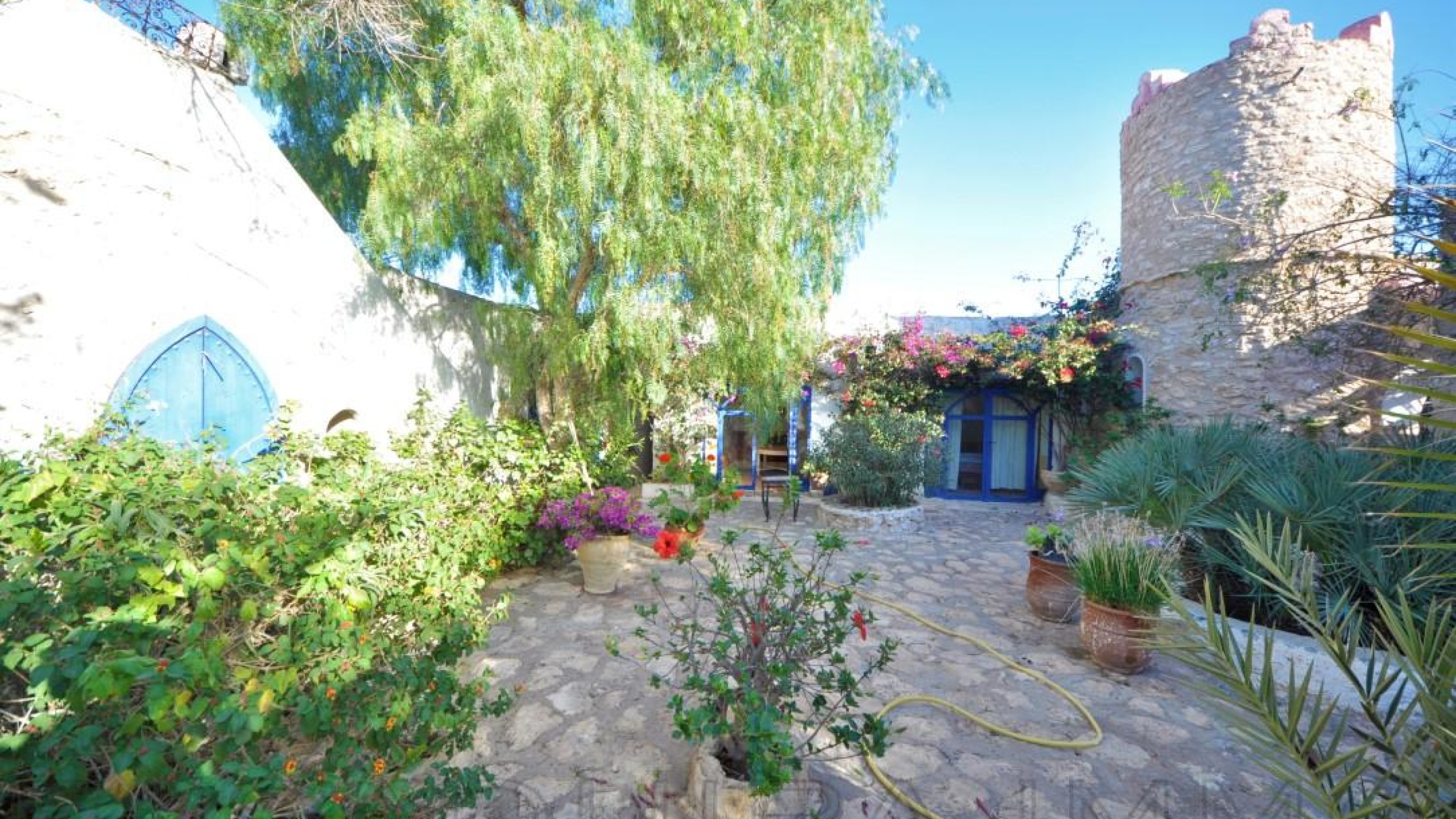 maison avec loué